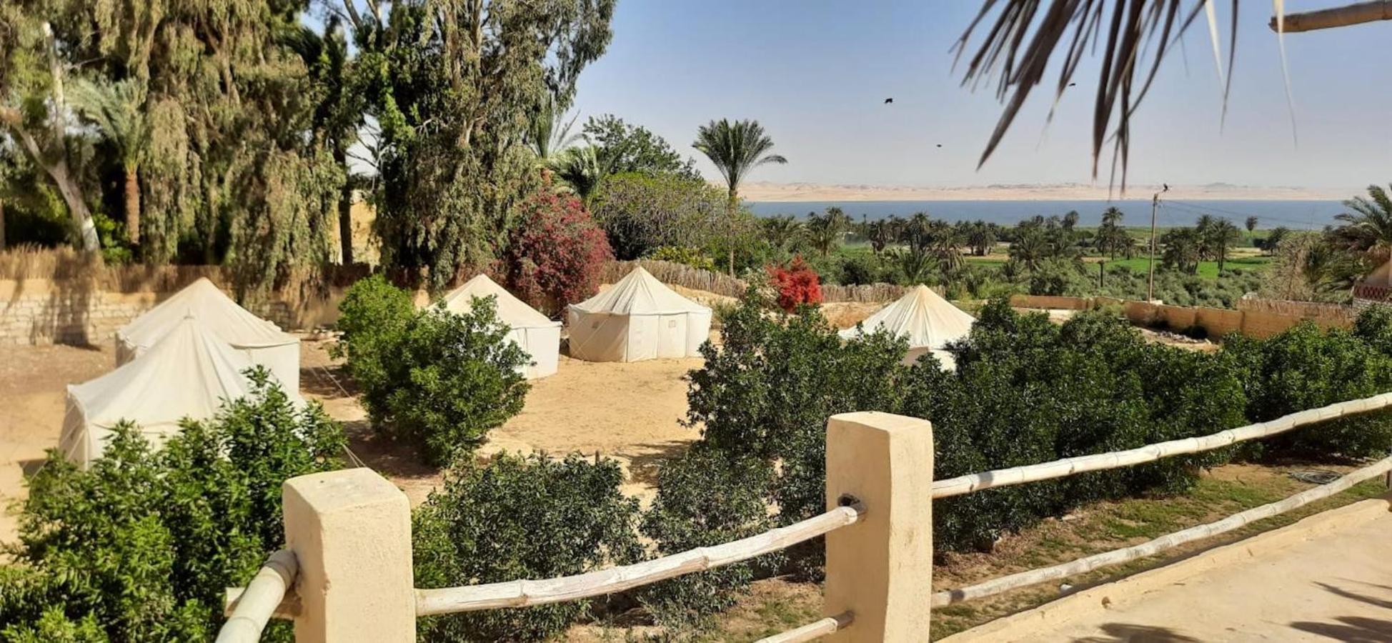 Tunis Village El-Al Fayyūm Exteriér fotografie