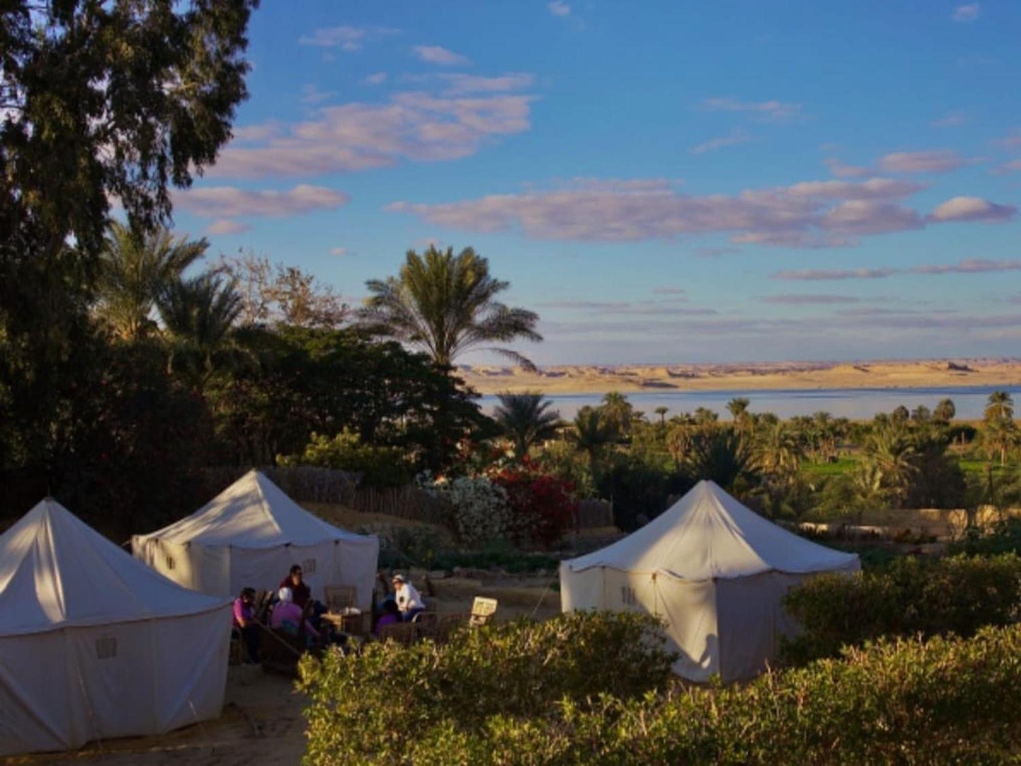 Tunis Village El-Al Fayyūm Exteriér fotografie